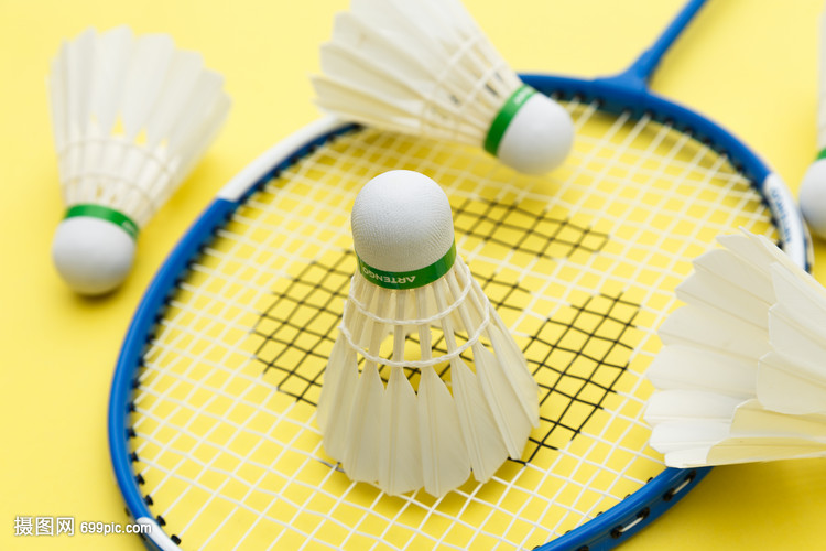 了一个展示 了一个展示